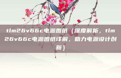 tlm26v66c电源图纸（深度解析，tlm26v66c电源图纸详解，助力电源设计创新）