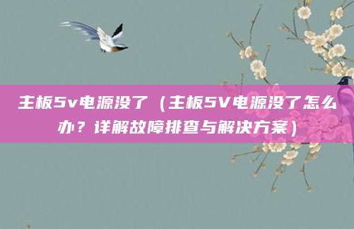 主板5v电源没了（主板5V电源没了怎么办？详解故障排查与解决方案）