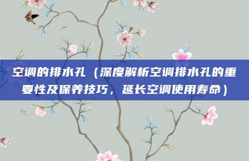 空调的排水孔（深度解析空调排水孔的重要性及保养技巧，延长空调使用寿命）