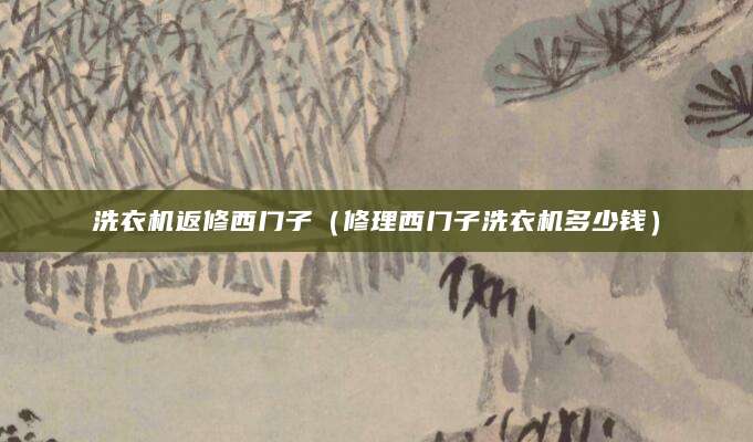 洗衣机返修西门子（修理西门子洗衣机多少钱）