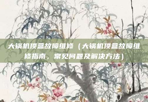 大锅机顶盒故障维修（大锅机顶盒故障维修指南，常见问题及解决方法）