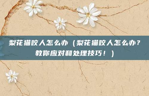 梨花猫咬人怎么办（梨花猫咬人怎么办？教你应对和处理技巧！）