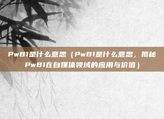PwB1是什么意思（PwB1是什么意思，揭秘PwB1在自媒体领域的应用与价值）