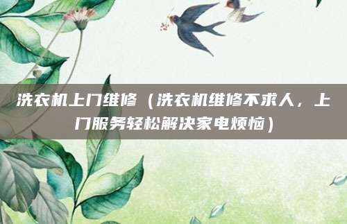 洗衣机上门维修（洗衣机维修不求人，上门服务轻松解决家电烦恼）