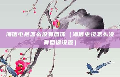 海信电视怎么没有图像（海信电视怎么没有图像设置）