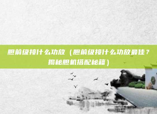 胆前级接什么功放（胆前级接什么功放最佳？揭秘胆机搭配秘籍）
