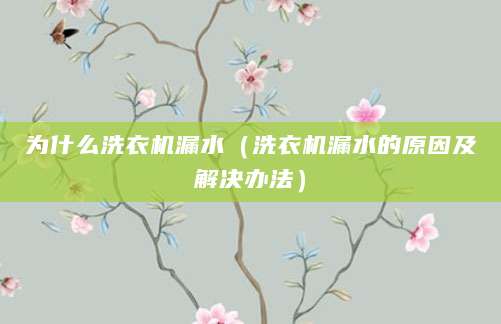 为什么洗衣机漏水（洗衣机漏水的原因及解决办法）