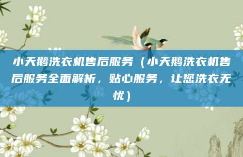 小天鹅洗衣机售后服务（小天鹅洗衣机售后服务全面解析，贴心服务，让您洗衣无忧）