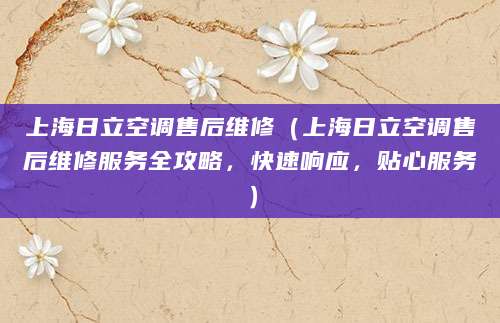 上海日立空调售后维修（上海日立空调售后维修服务全攻略，快速响应，贴心服务）