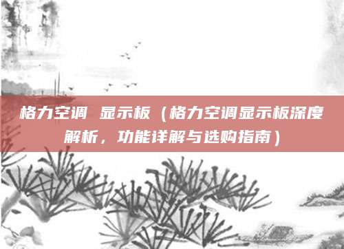 格力空调 显示板（格力空调显示板深度解析，功能详解与选购指南）