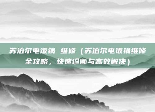 苏泊尔电饭锅 维修（苏泊尔电饭锅维修全攻略，快速诊断与高效解决）