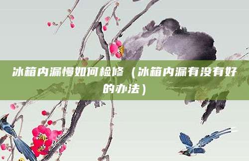 冰箱内漏慢如何检修（冰箱内漏有没有好的办法）