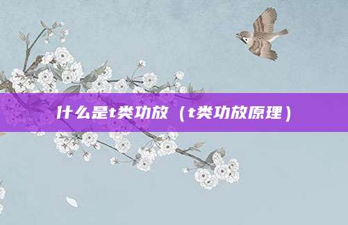 什么是t类功放（t类功放原理）
