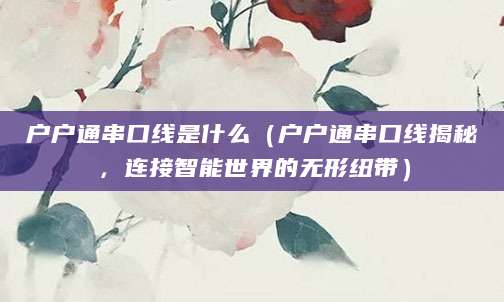 户户通串口线是什么（户户通串口线揭秘，连接智能世界的无形纽带）