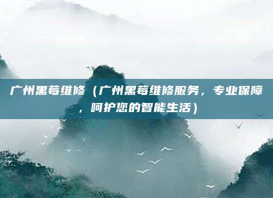 广州黑莓维修（广州黑莓维修服务，专业保障，呵护您的智能生活）
