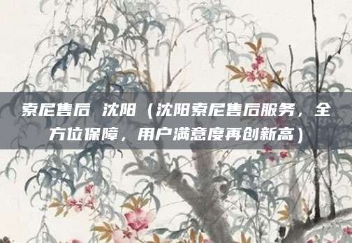 索尼售后 沈阳（沈阳索尼售后服务，全方位保障，用户满意度再创新高）