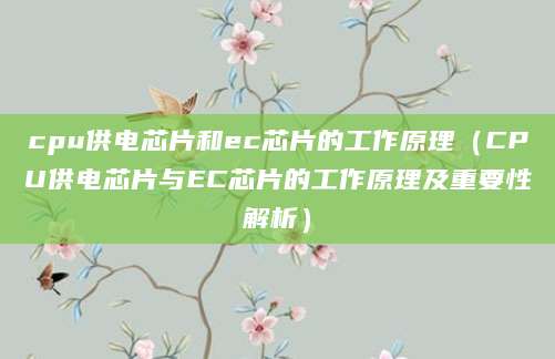 cpu供电芯片和ec芯片的工作原理（CPU供电芯片与EC芯片的工作原理及重要性解析）