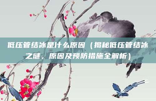 低压管结冰是什么原因（揭秘低压管结冰之谜，原因及预防措施全解析）