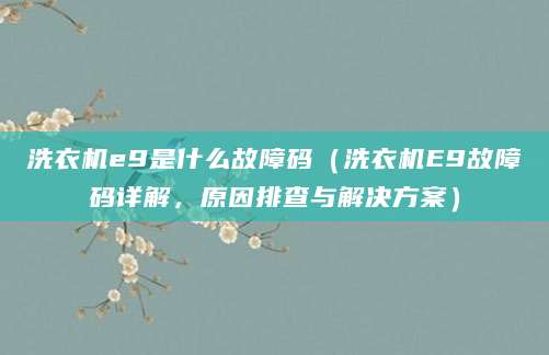 洗衣机e9是什么故障码（洗衣机E9故障码详解，原因排查与解决方案）