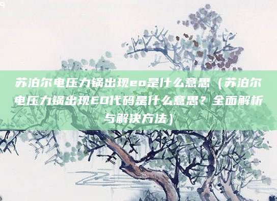 苏泊尔电压力锅出现eo是什么意思（苏泊尔电压力锅出现EO代码是什么意思？全面解析与解决方法）