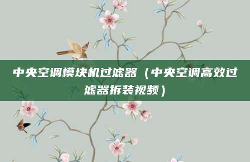 中央空调模块机过滤器（中央空调高效过滤器拆装视频）