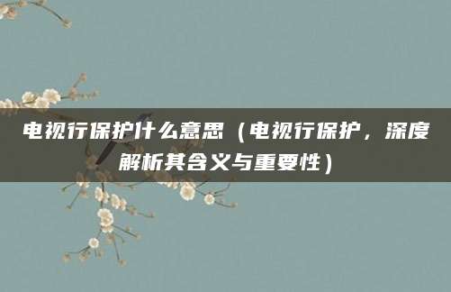 电视行保护什么意思（电视行保护，深度解析其含义与重要性）