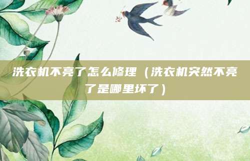 洗衣机不亮了怎么修理（洗衣机突然不亮了是哪里坏了）