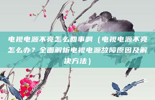 电视电源不亮怎么回事啊（电视电源不亮怎么办？全面解析电视电源故障原因及解决方法）