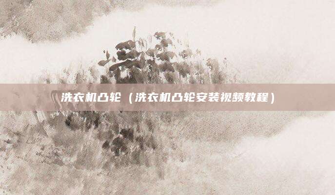 洗衣机凸轮（洗衣机凸轮安装视频教程）