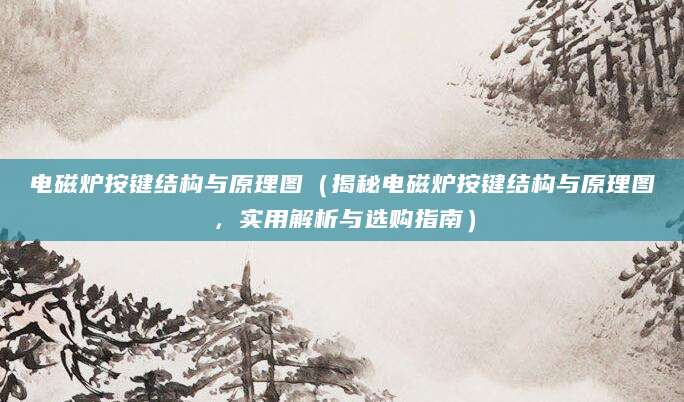 电磁炉按键结构与原理图（揭秘电磁炉按键结构与原理图，实用解析与选购指南）