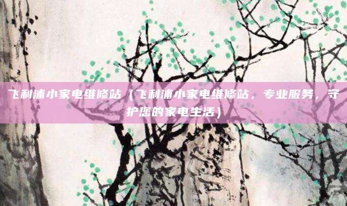 飞利浦小家电维修站（飞利浦小家电维修站，专业服务，守护您的家电生活）