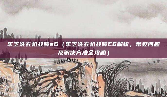 东芝洗衣机故障e6（东芝洗衣机故障E6解析，常见问题及解决方法全攻略）