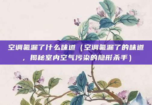 空调氟漏了什么味道（空调氟漏了的味道，揭秘室内空气污染的隐形杀手）