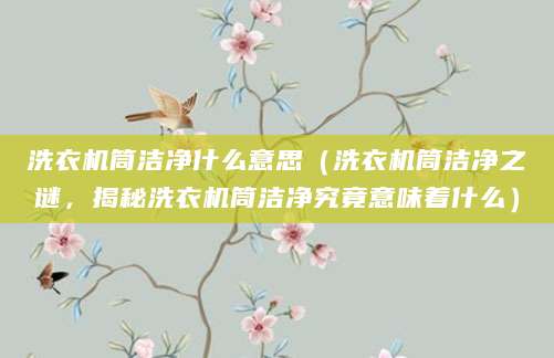 洗衣机筒洁净什么意思（洗衣机筒洁净之谜，揭秘洗衣机筒洁净究竟意味着什么）