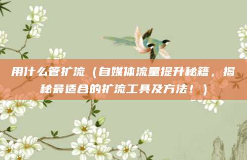 用什么管扩流（自媒体流量提升秘籍，揭秘最适合的扩流工具及方法！）