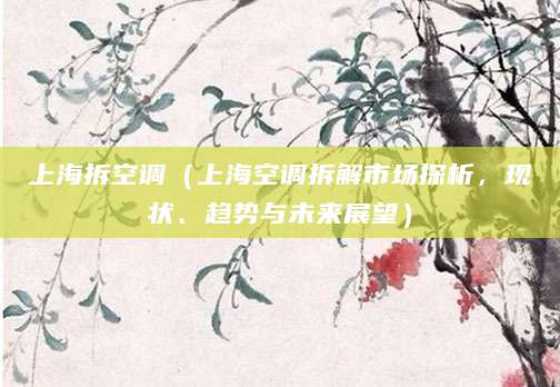 上海拆空调（上海空调拆解市场探析，现状、趋势与未来展望）