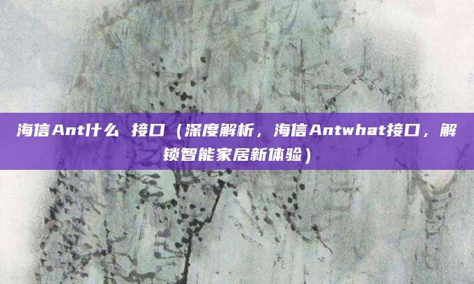海信Ant什么 接口（深度解析，海信Antwhat接口，解锁智能家居新体验）