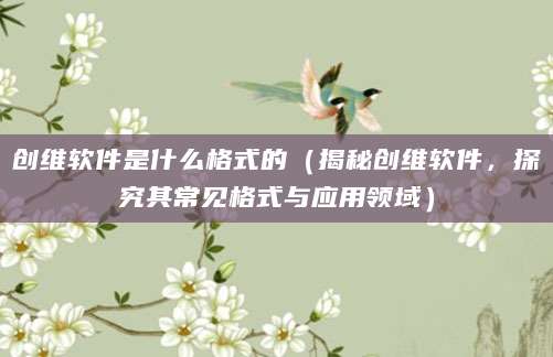 创维软件是什么格式的(揭秘创维软件,探究其常见格式与应用领域)