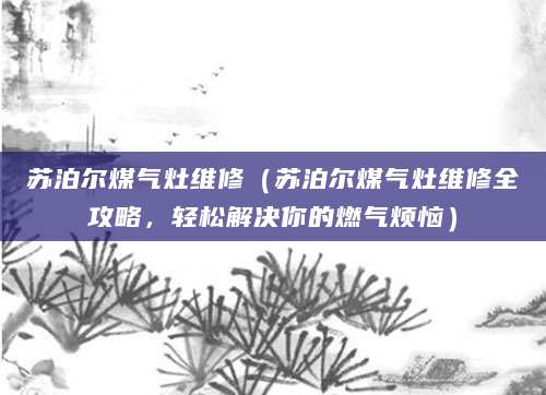 苏泊尔煤气灶维修（苏泊尔煤气灶维修全攻略，轻松解决你的燃气烦恼）