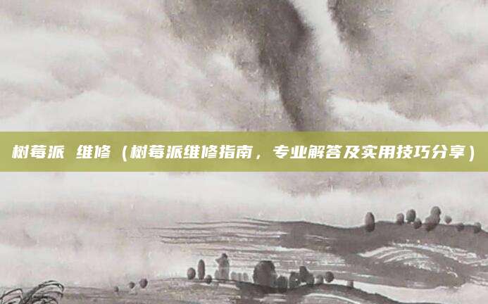 树莓派 维修（树莓派维修指南，专业解答及实用技巧分享）