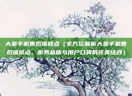 大显手机售后维修点（全方位解析大显手机售后维修点，服务品质与用户口碑的完美结合）