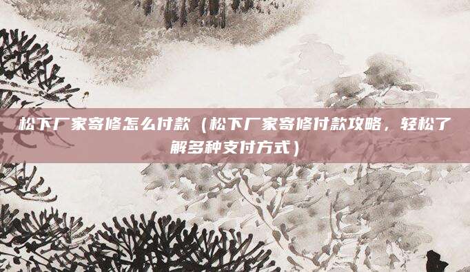 松下厂家寄修怎么付款（松下厂家寄修付款攻略，轻松了解多种支付方式）