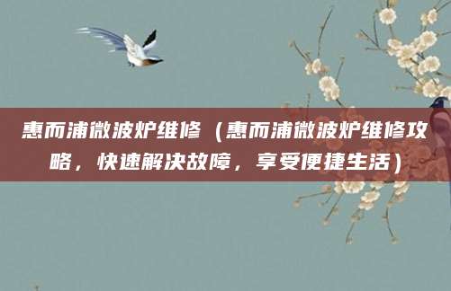 惠而浦微波炉维修（惠而浦微波炉维修攻略，快速解决故障，享受便捷生活）