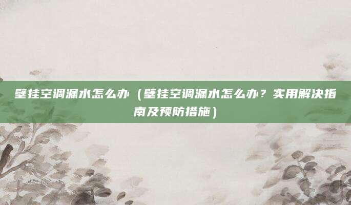 壁挂空调漏水怎么办（壁挂空调漏水怎么办？实用解决指南及预防措施）