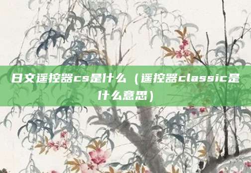 日文遥控器cs是什么(遥控器classic是什么意思)