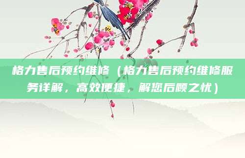 格力售后预约维修（格力售后预约维修服务详解，高效便捷，解您后顾之忧）