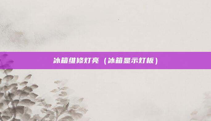 冰箱维修灯亮（冰箱显示灯板）