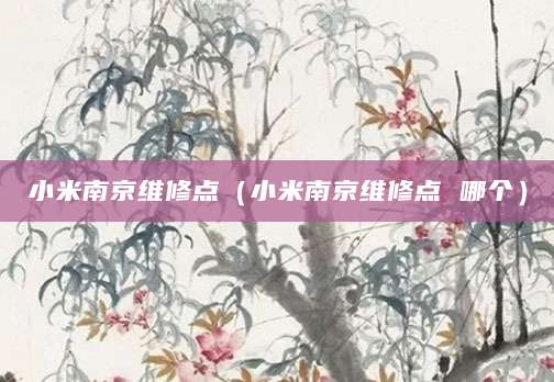 小米南京维修点(小米南京维修点 哪个)