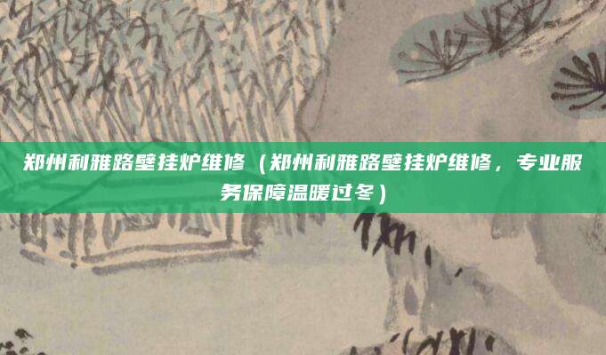 郑州利雅路壁挂炉维修（郑州利雅路壁挂炉维修，专业服务保障温暖过冬）