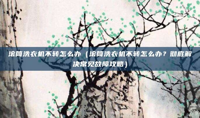 滚筒洗衣机不转怎么办（滚筒洗衣机不转怎么办？彻底解决常见故障攻略）